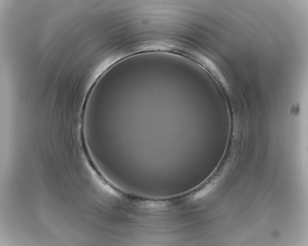 X0000091950802200709131203