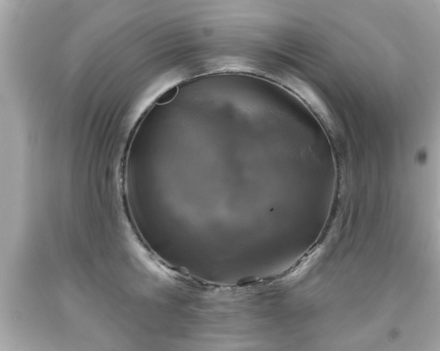 X0000091950806200709131203