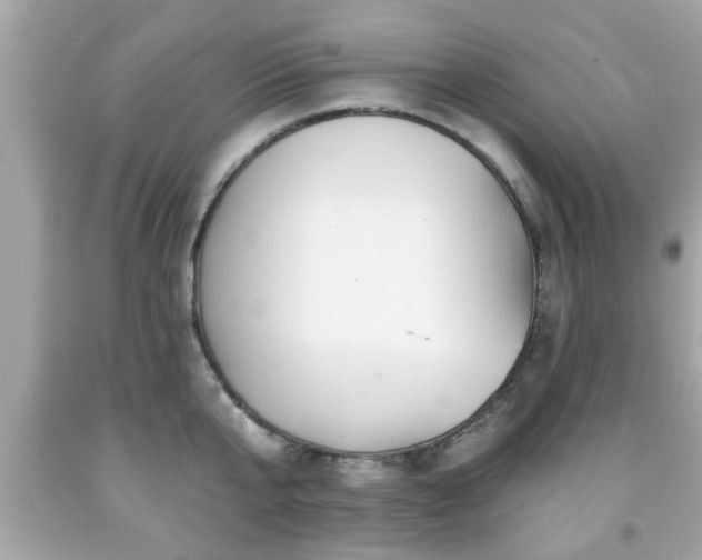 X0000091950807200709131203