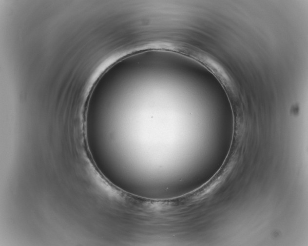 X0000091950808200709131203
