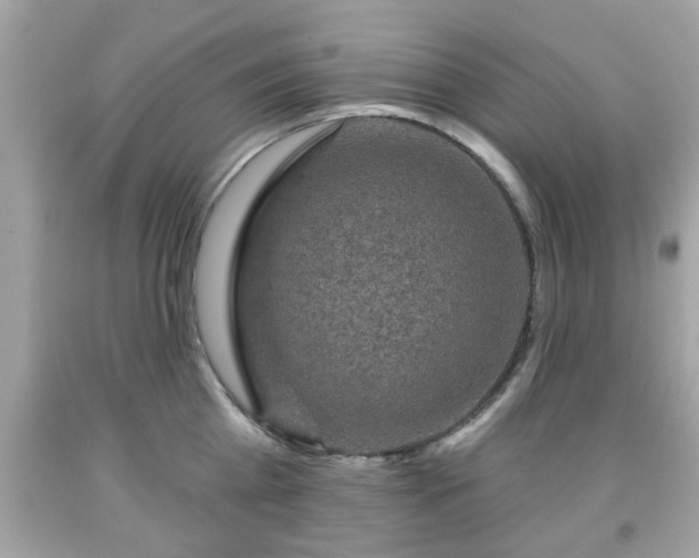 X0000091950809200709131203