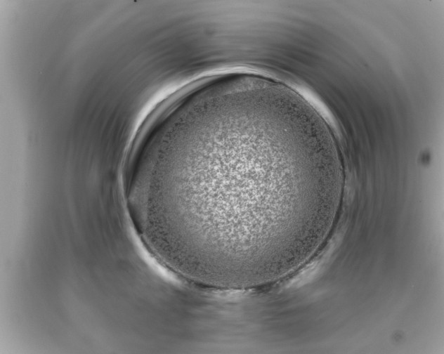 X0000091950813200709131203