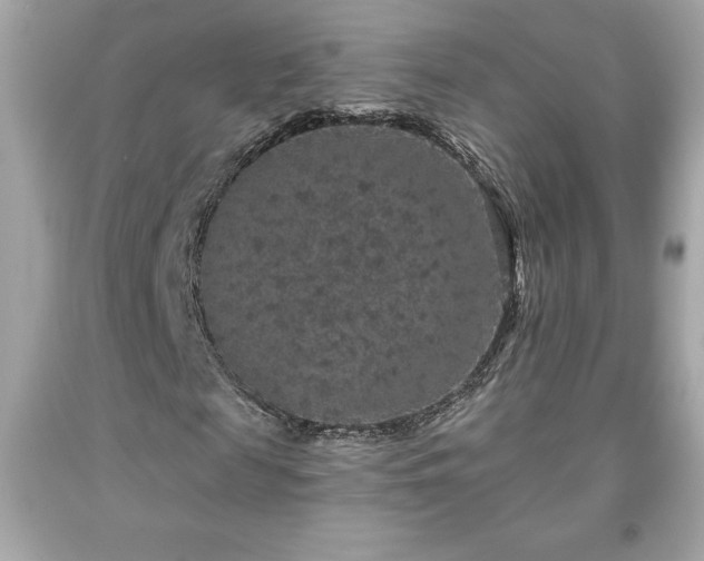 X0000091950817200709131202