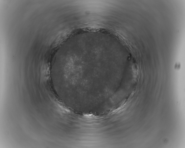X0000091950818200709131202