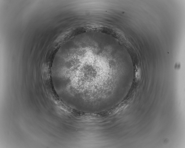 X0000091950819200709131202