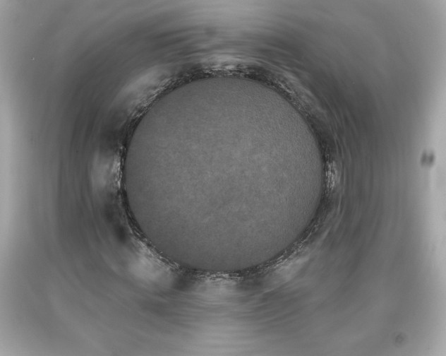 X0000091950820200709131202