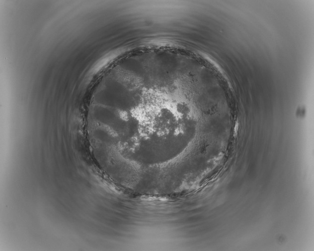 X0000091950823200709131202