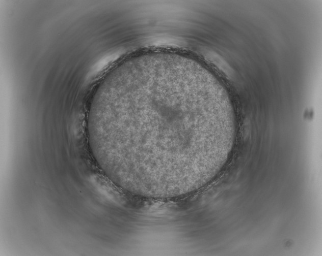 X0000091950824200709131202