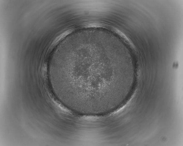 X0000091950825200709131202