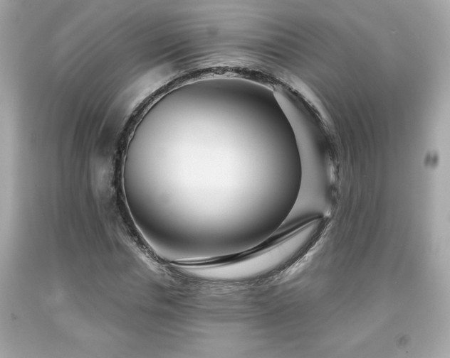 X0000091950826200709131202