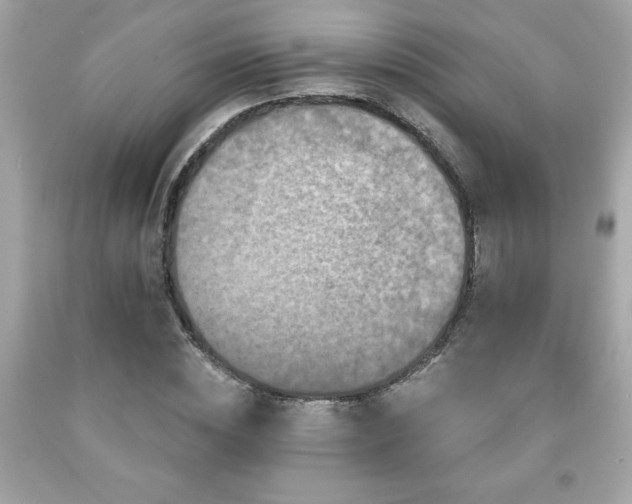 X0000091950828200709131202