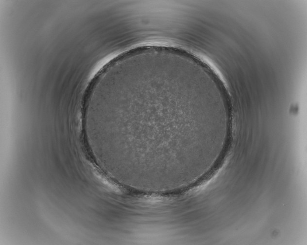 X0000091950829200709131202