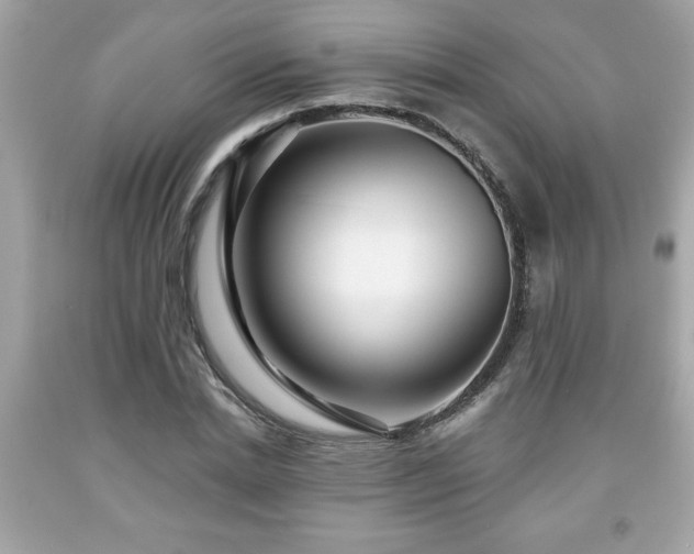 X0000091950830200709131202