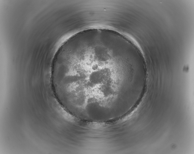 X0000091950831200709131202