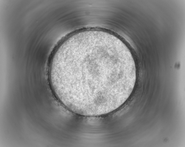 X0000091950832200709131202