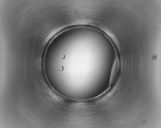 X0000091950834200709131202