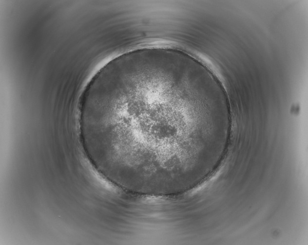 X0000091950835200709131202