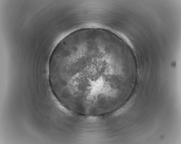 X0000091950839200709131202