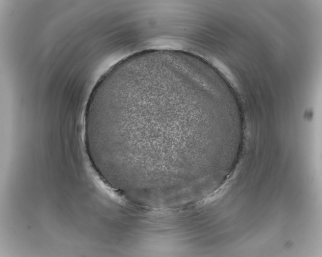 X0000091950840200709131202