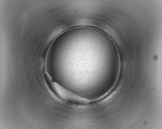 X0000091950841200709131202