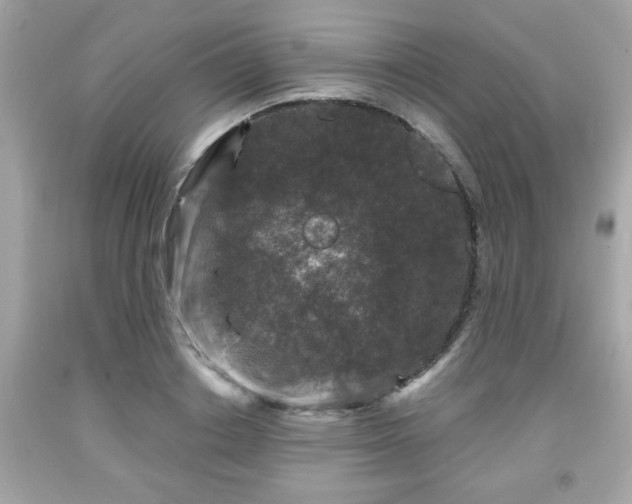 X0000091950842200709131202