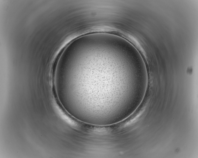 X0000091950843200709131202