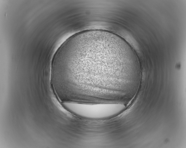 X0000091950844200709131202