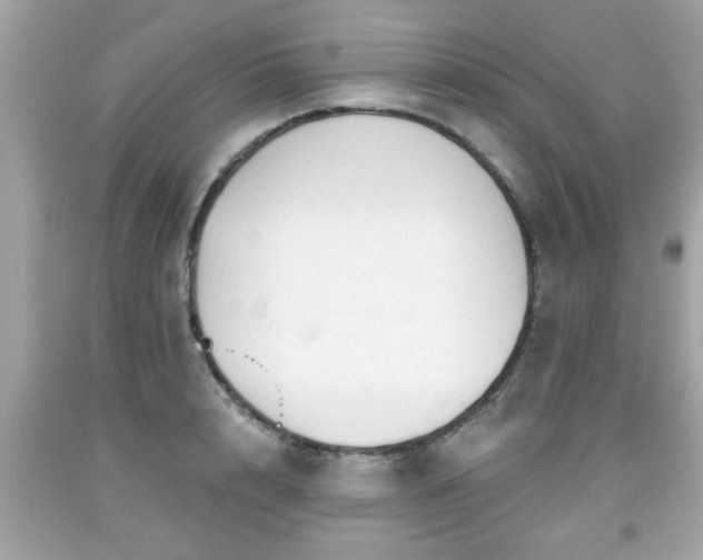 X0000091950848200709131202