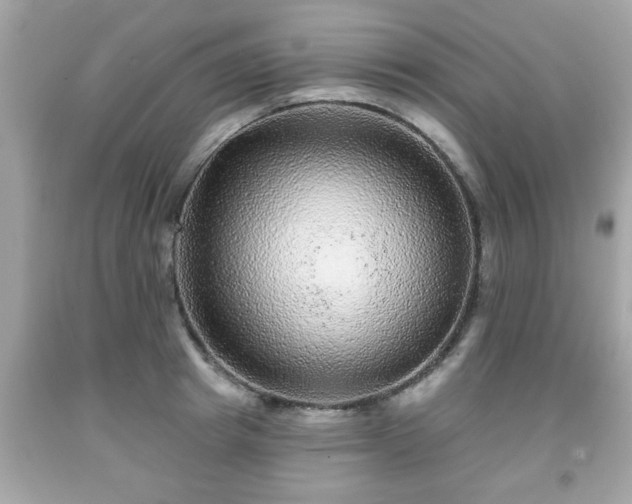 X0000091950849200709131202