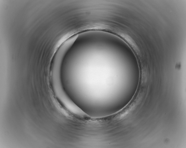 X0000091950850200709131202