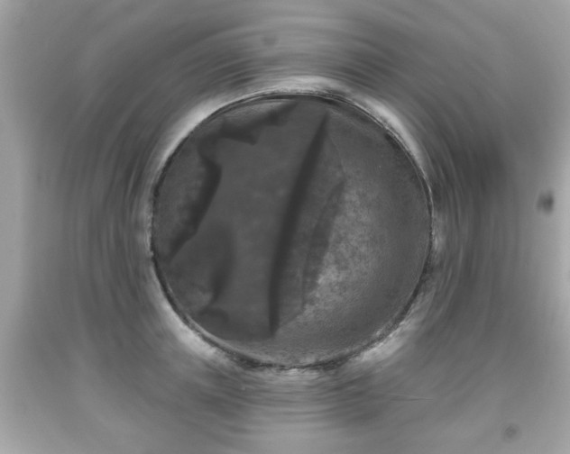 X0000091950851200709131202