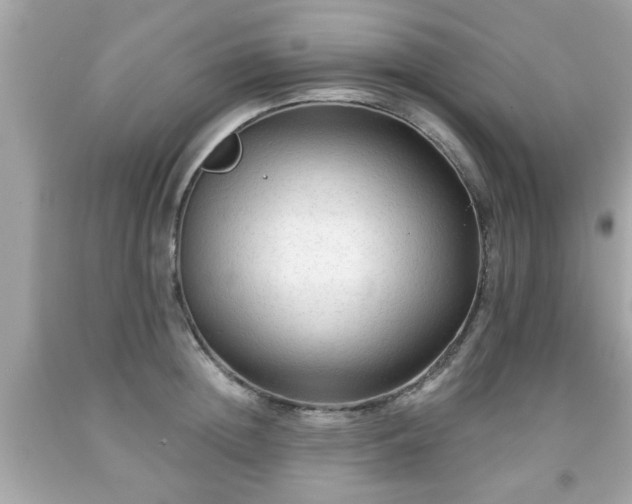 X0000091950852200709131202