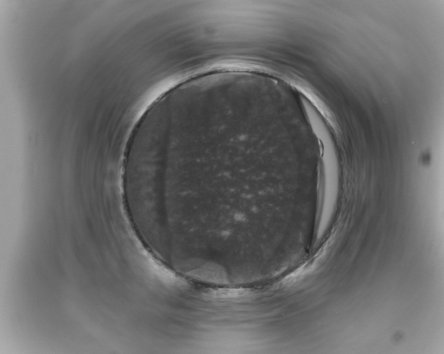 X0000091950853200709131202