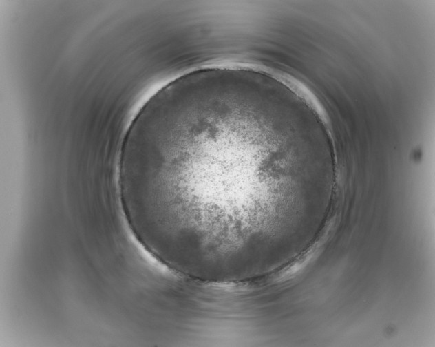 X0000091950855200709131202