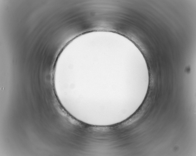 X0000091950856200709131202