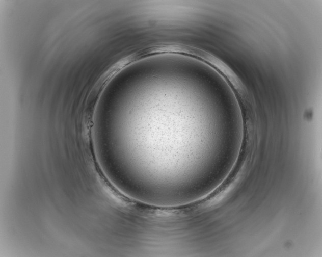 X0000091950857200709131202