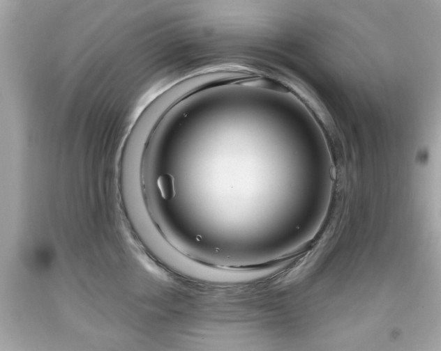 X0000091950858200709131202