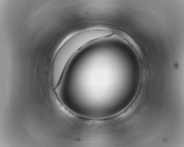 X0000091950860200709131202