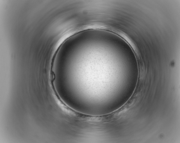 X0000091950861200709131202