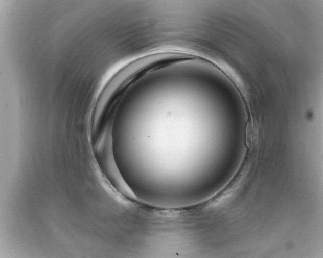 X0000091950862200709131203