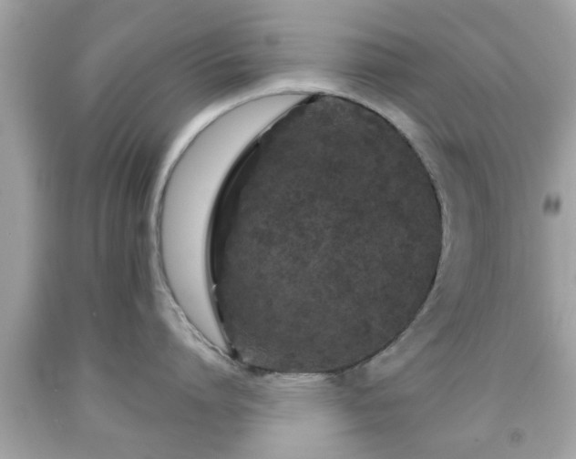 X0000091950864200709131203