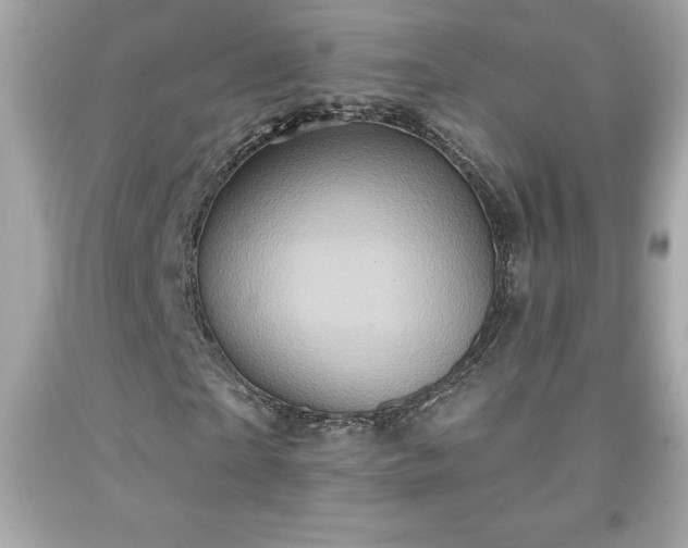 X0000091950865200709131202