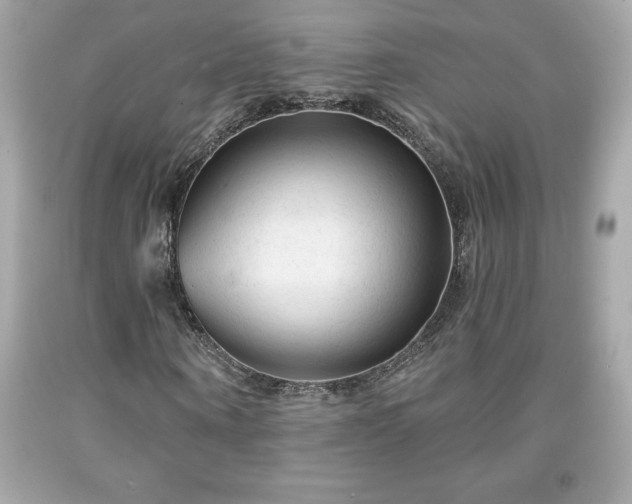 X0000091950866200709131202