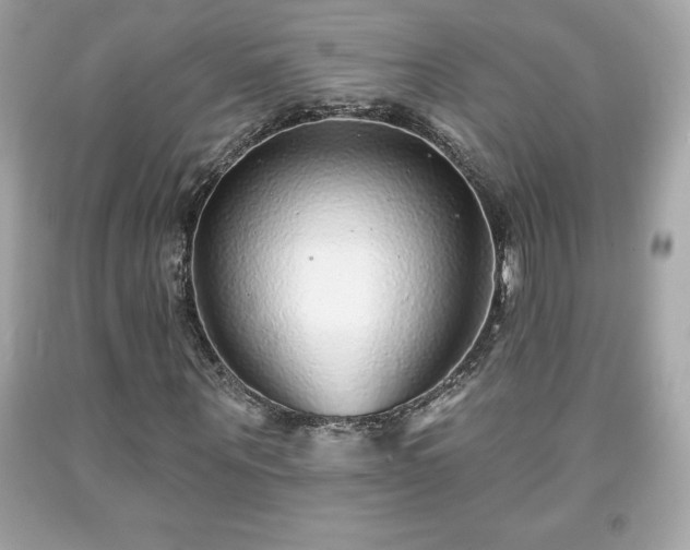 X0000091950867200709131202