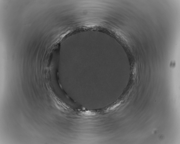 X0000091950868200709131202