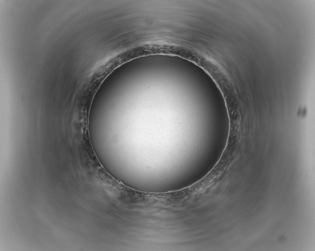 X0000091950870200709131202