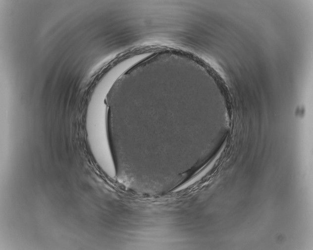 X0000091950872200709131202