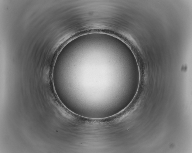 X0000091950873200709131202