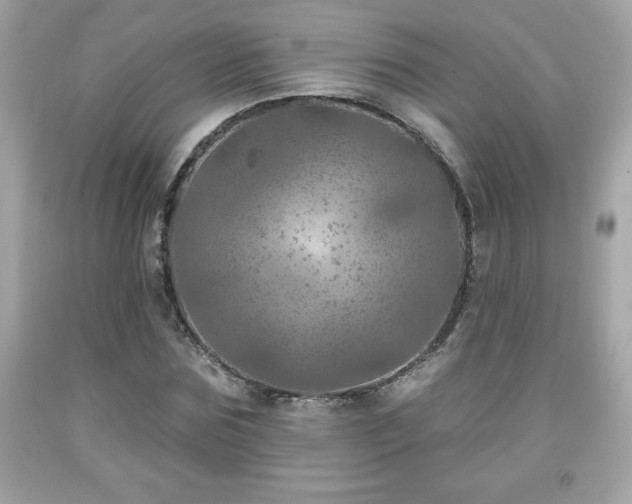X0000091950875200709131202