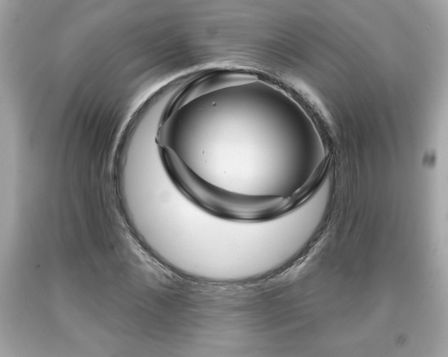 X0000091950876200709131202